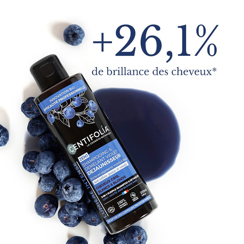 SHAMPOING ET DÉMÊLANT VIOLET DÉJAUNISSEUR 2 EN 1