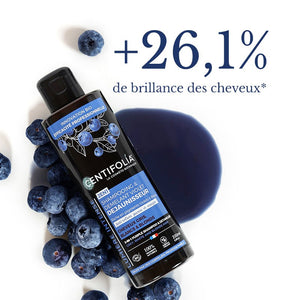 SHAMPOING ET DÉMÊLANT VIOLET DÉJAUNISSEUR 2 EN 1